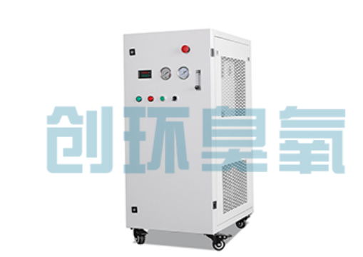 元氏石斑鱼养殖水质调控完整指南:臭氧发生器配置与操作步骤