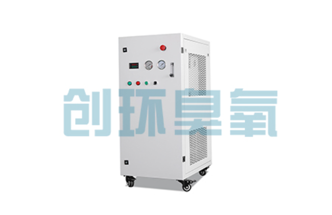 元氏比传统换水更高效?臭氧发生器在石斑鱼养殖中的水质净化原理解析